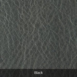 Double Eyeglass Case