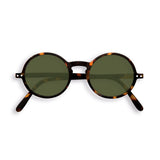 IZI_G_SUN_TORTOISE_GREENLENSES_PLIEE_CMJN