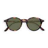 Sunglass #D Tortoise // Green Lenses